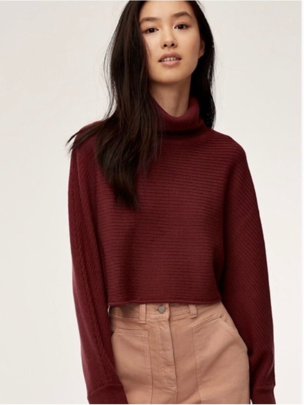 Wilfred Free Aritzia Merino Wool Naomi Cropped Turtleneck Sweater XS Rust Red